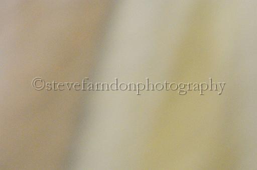 mayaction_849.JPG - (C)S.FARNDON