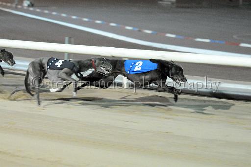 mayaction_852.JPG - (C)S.FARNDON