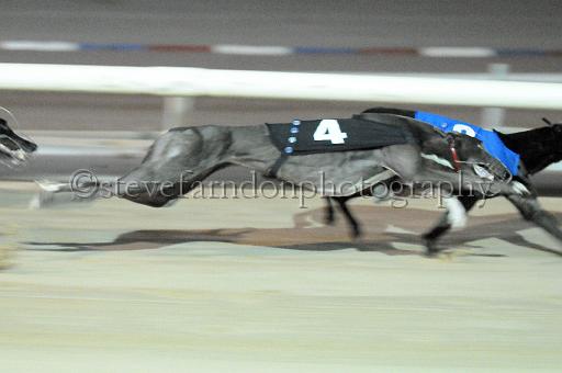 mayaction_854.JPG - (C)S.FARNDON