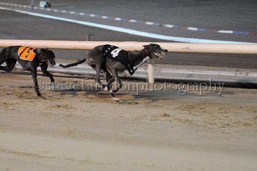 mayaction_858.JPG - (C)S.FARNDON
