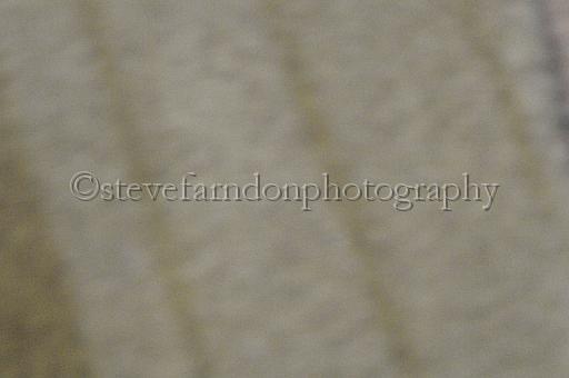 mayaction_863.JPG - (C)S.FARNDON