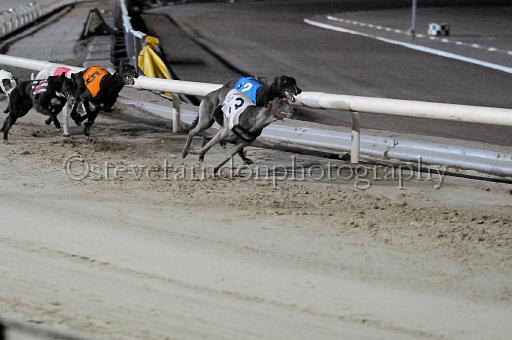 mayaction_871.JPG - (C)S.FARNDON