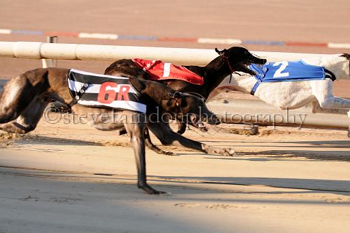 mayaction_879.JPG - (C)S.FARNDON