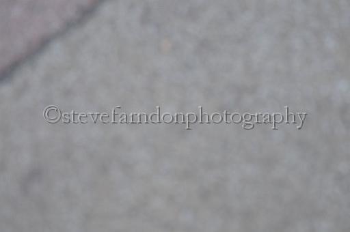 mayaction_881.JPG - (C)S.FARNDON