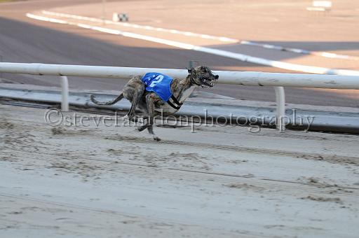mayaction_883.JPG - (C)S.FARNDON