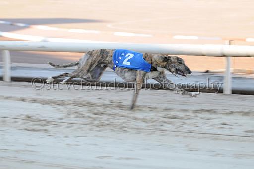 mayaction_884.JPG - (C)S.FARNDON