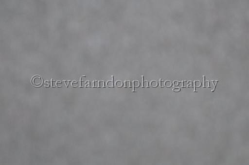 mayaction_893.JPG - (C)S.FARNDON