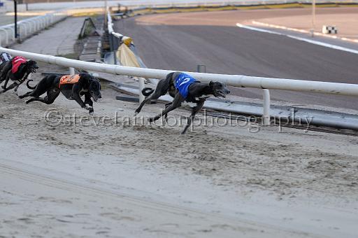 mayaction_895.JPG - (C)S.FARNDON