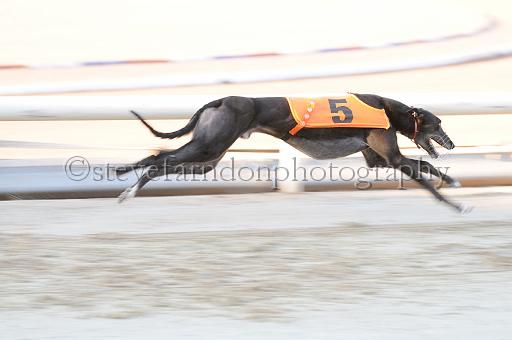 mayaction_902.JPG - (C)S.FARNDON