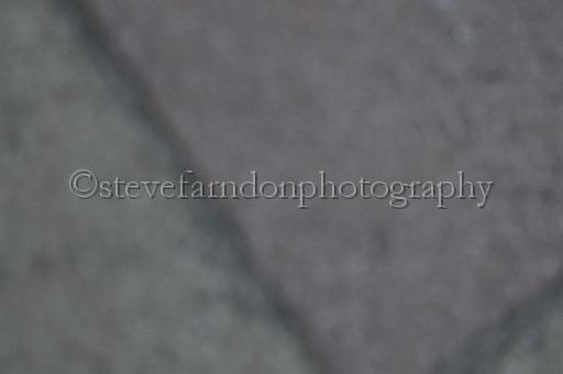 mayaction_904.JPG - (C)S.FARNDON