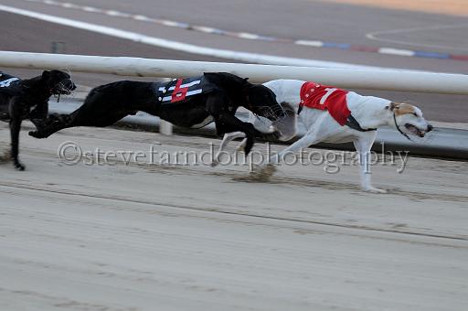 mayaction_907.JPG - (C)S.FARNDON