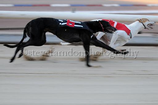 mayaction_909.JPG - (C)S.FARNDON