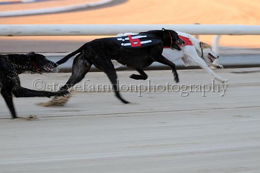 mayaction_910.JPG - (C)S.FARNDON