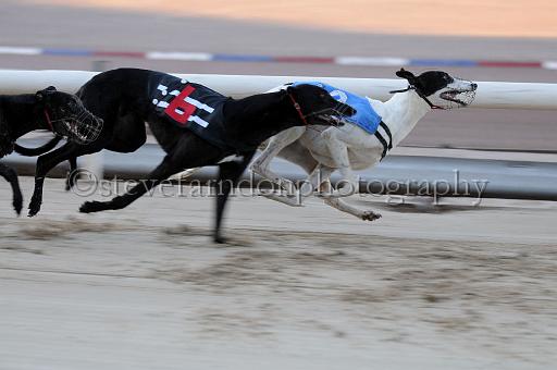 mayaction_915.JPG - (C)S.FARNDON