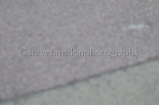 mayaction_917.JPG - (C)S.FARNDON