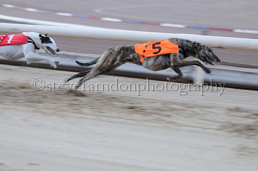 mayaction_921.JPG - (C)S.FARNDON