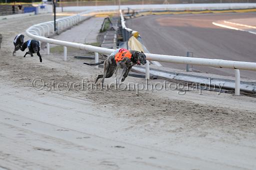 mayaction_923.JPG - (C)S.FARNDON