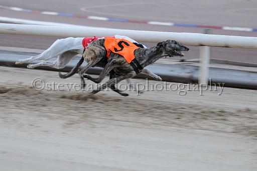 mayaction_924.JPG - (C)S.FARNDON