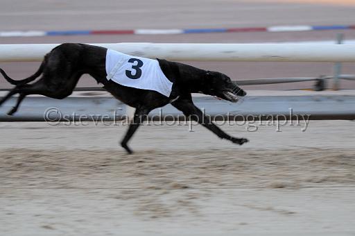 mayaction_930.JPG - (C)S.FARNDON