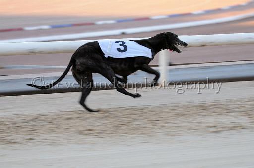 mayaction_931.JPG - (C)S.FARNDON