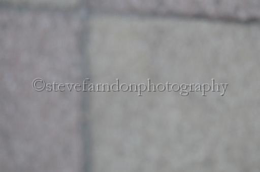 mayaction_932.JPG - (C)S.FARNDON