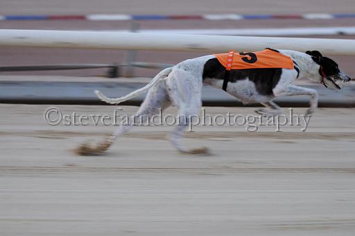 mayaction_937.JPG - (C)S.FARNDON