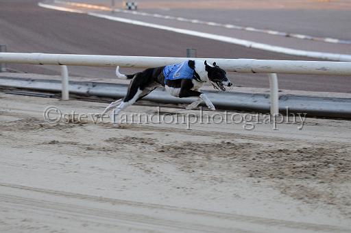 mayaction_939.JPG - (C)S.FARNDON