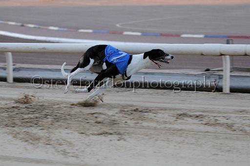 mayaction_940.JPG - (C)S.FARNDON
