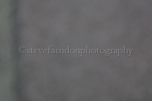 mayaction_953.JPG - (C)S.FARNDON