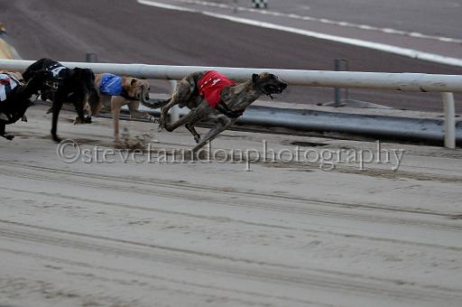 mayaction_955.JPG - (C)S.FARNDON