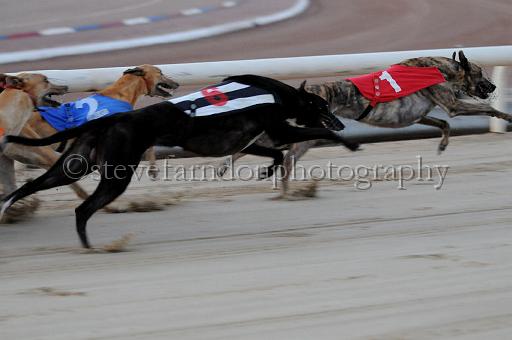 mayaction_959.JPG - (C)S.FARNDON