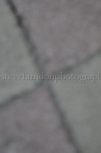 mayaction_967.JPG - (C)S.FARNDON