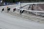 cov25april019