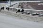 cov25april020