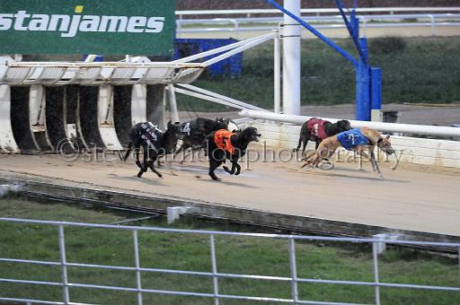 284hallgreen003.JPG - (C)S.FARNDON