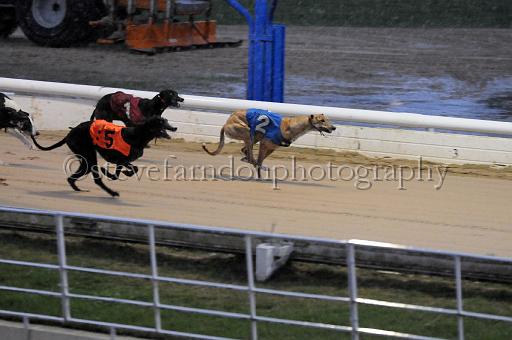284hallgreen005.JPG - (C)S.FARNDON