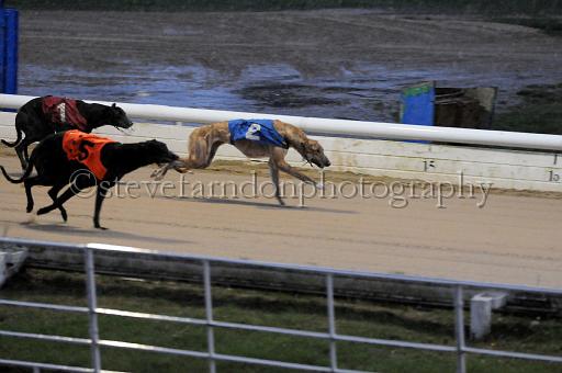 284hallgreen006.JPG - (C)S.FARNDON