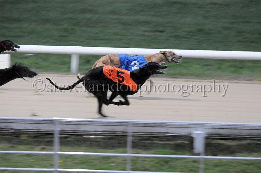 284hallgreen007.JPG - (C)S.FARNDON