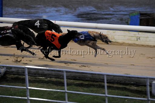 284hallgreen009.JPG - (C)S.FARNDON