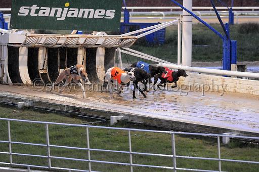 284hallgreen010.JPG - (C)S.FARNDON