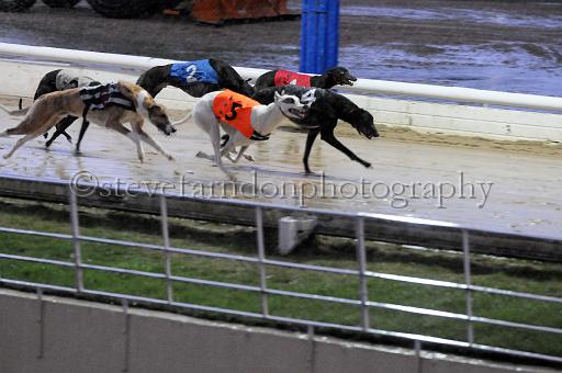 284hallgreen011.JPG - (C)S.FARNDON