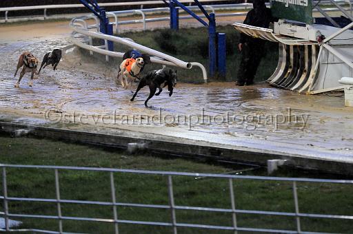 284hallgreen013.JPG - (C)S.FARNDON
