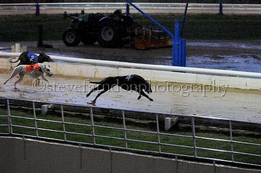 284hallgreen014.JPG - (C)S.FARNDON