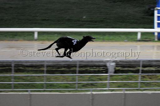 284hallgreen015.JPG - (C)S.FARNDON