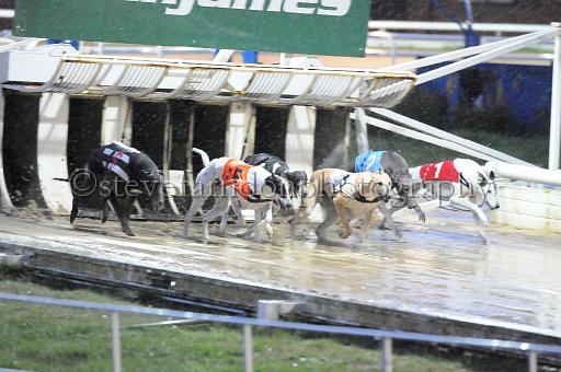 284hallgreen017.JPG - (C)S.FARNDON