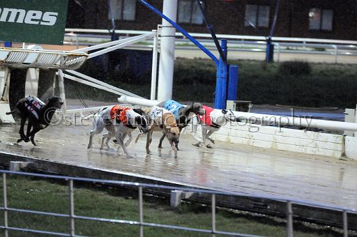 284hallgreen018.JPG - (C)S.FARNDON