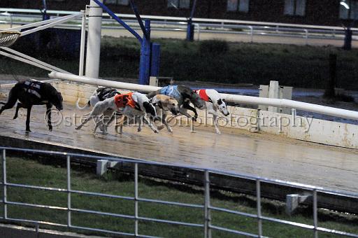 284hallgreen019.JPG - (C)S.FARNDON
