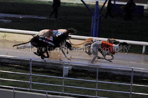 284hallgreen021.JPG - (C)S.FARNDON