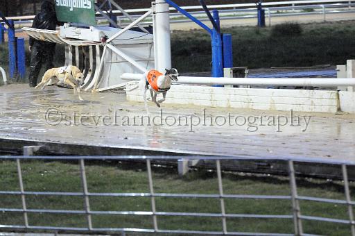 284hallgreen022.JPG - (C)S.FARNDON