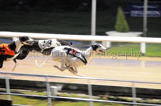 284hallgreen024.JPG - (C)S.FARNDON